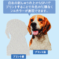 ブラザー 昇華転写プリンター SP-1